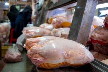 افزایش بیش از ۱۰۰ درصدی قیمت مرغ تا پایان سال گذشته!