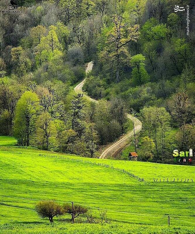 گزارش تصویری از طبیعت زیبای مازندران در فصل بهار