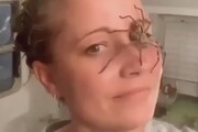 تصاویری وحشتناک از راه رفتن عنکبوت بر روی صورت یک زن /فیلم