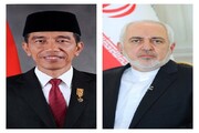 دیدار ظریف با رییس جمهور اندونزی