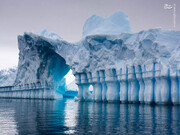 ذوب شدن بزرگترین کوه یخی در جهان / فیلم