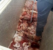 ۲۰۰ کیلو گوشت فاسد از یک رستوران کشف شد!