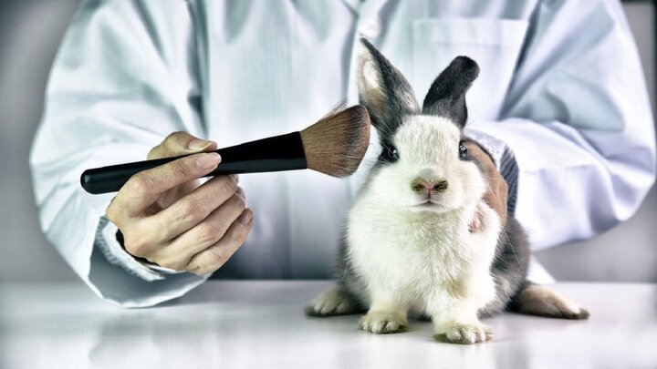 تست بی‌رحمانه لوازم آرایشی بر روی حیوانات | چرا لوازم آرایشی روی حیوانات آزمایش می‌شوند؟