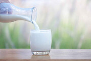محققان آلمانی: مصرف شیر عمر انسان را کوتاه می‌کند!