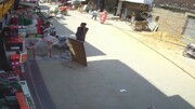 حمله گاو به مرد هندی در خیابان / فیلم