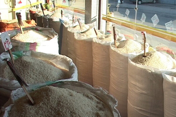 حذف برنج از سفره‌ها سرعت گرفت / فقط ۱۵ میلیون ایرانی راحت برنج می‌خرند