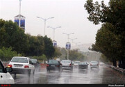 باران زیبای بهاری در تهران / فیلم