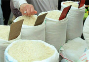 قیمت برنج ایرانی به بالای ۵۰ هزار تومان می‌رسد؟