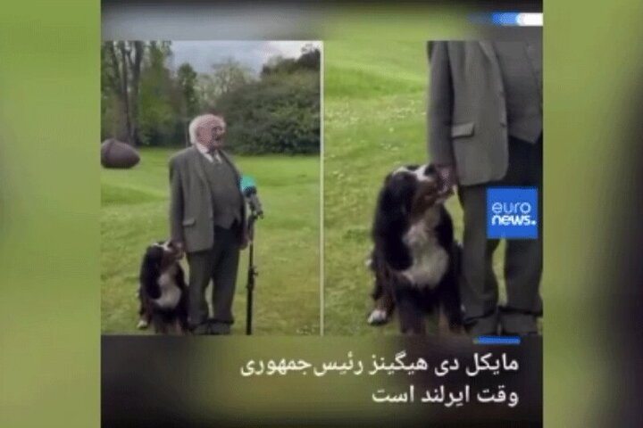 شیطنت سگ هنگام گفتگو رییس‌جمهور ایرلند در یک برنامه تلویزیونی / فیلم