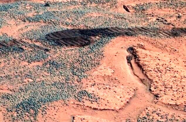 در مریخ «قارچ» وجود دارد! /عکس