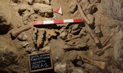 باستان شناسان بقایای ۹ انسان نئاندرتال را کشف کردند