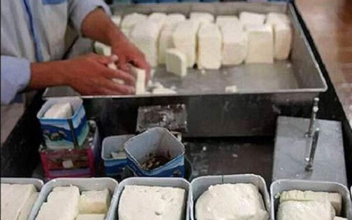 خوردن نان و پنیر هم برای ایرانی‌ها لاکچری شد! / جدول قیمت