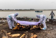 تصاویری تلخ از کشف اجساد بیماران کرونایی در رودخانه / فیلم