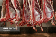 کاهش نسبی قیمت گوشت قرمز در بازار
