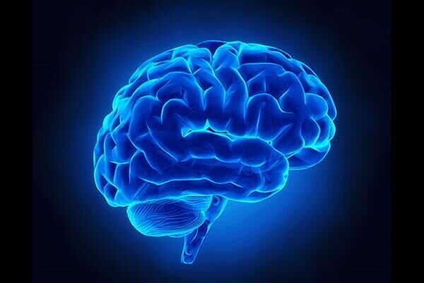 آشنایی با چند راه اصلی برای پیشگیری از سکته مغزی 