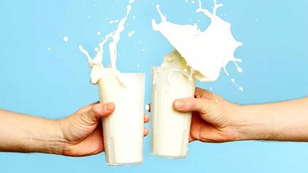 مضرات فراوان زیاده‌روی در مصرف شیر بر سلامت بدن