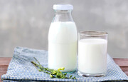 عوارض وحشتناک مصرف زیاد شیر؛ از بیماری‌های قلبی تا سرطان