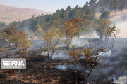 مهار کامل آتش سوزی در ارتفاعات گچساران