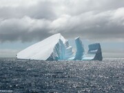 جدا شدن بزرگترین کوه یخی جهان از قطب جنوب / فیلم