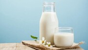 قیمت شیر خام به بیش از ۶ هزار تومان افزایش خواهد یافت