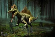 حقایق جالب درباره دایناسورها که با شنیدن آن شگفت‌زده می‌شوید