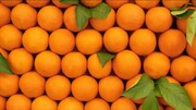 علائم سندرم پوست پرتقال و راهکارهایی برای درمان آن