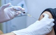 خبرهای عجیب و غریب در مورد واکسن کرونا؛ وجود «آهن» در واکسن‌های کرونا صحت دارد؟