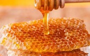 بهترین راه تشخیص عسل اصل از تقلبی | عسل اصل چه ویژگی‌هایی دارد؟
