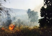 آتش سوزی در باغ فرزانه شیراز