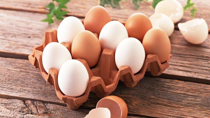 تخم مرغ گران نشده است/ پیش‌بینی التهاب بازار مرغ در ماه‌های آینده