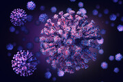 نسانه‌های اصلی ابتلا به ویروس کرونا | کدام علائم نشان می‌دهد که کرونا گرفته‌ایم / عکس
