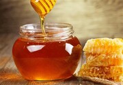 خواص شگفت‌انگیز عسل و روغن زیتون برای سلامتی؛ از تضمین سلامت قلب تا ترمیم‌کننده‌ زخم و سوختگی