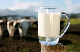 هشدار مهم درباره مصرف شیرخام 