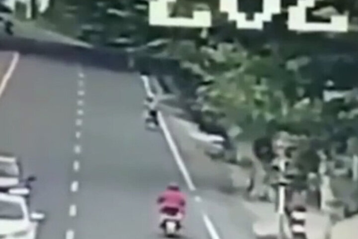 لحظه مرگ دلخراش موتورسوار در اثر سقوط درخت تنومند / فیلم