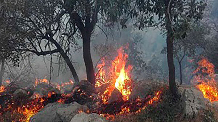 فیلم ناراحت‌کننده از آتش‌سوزی جنگل‌های زاگرس
