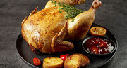 معایب باورنکردنی این قسمت از مرغ که هرگز نباید آن را بخورید | سالم‌ترین قسمت بدن مرغ کجاست؟