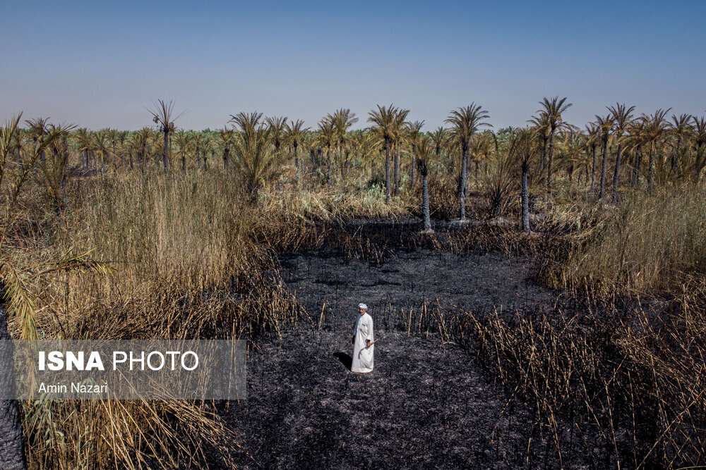 آتش‌سوزی وحشتناک در نخلستان‌ اروندکنار / تصاویر