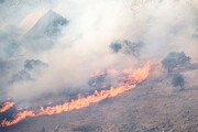 تصاویری از آتش‌سوزی در جنگل‌های کوه حاتم در  زاگرس / فیلم