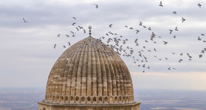 هجوم وحشتناک پرنده‌ها به یکی از شهرهای ترکیه / فیلم