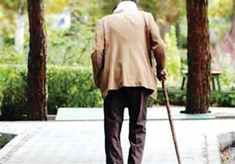 دولت آینده زیرساخت‌های سونامی سالمندی را فراهم کند / ۳۳ درصد جمعیت کشور تا ۳۵ سال آینده سالمند خواهد بود