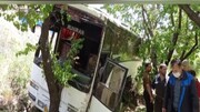 واژگونی اتوبوس مسافربری در نزدیکی دامغان / فیلم