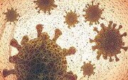 یافته‌های جدید محققان درباره کرونا / ویروس ۲۰ هزار سال قبل هم وجود داشته است