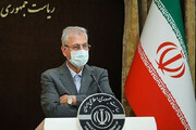 کنایه سخنگوی دولت به احمدی‌نژاد درباره تحریم انتخابات / فیلم
