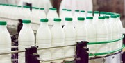 قیمت شیر ۵۴ درصد گران می شود/  احتمال تعطیلی واحدهای لبنی