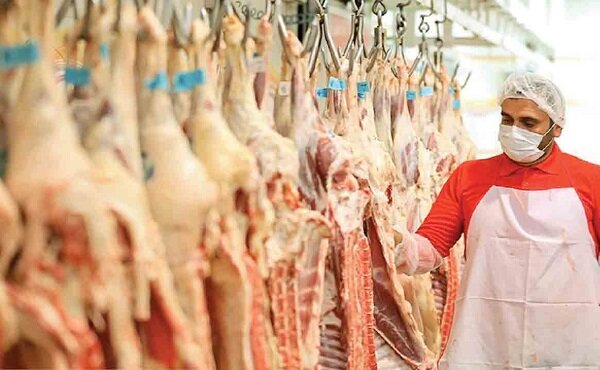 افزایش ۴۹ درصدی کشتار دام / گوشت ارزان شد