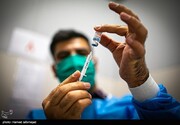 تاثیر واکسن کرونا بر باروری زنان و مردان