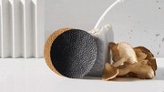 استفاده از قارچ به جای چرم  برای تولید لباس، کیف و کفش! / تصاویر
