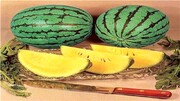 خواص بی‌نظیر هندوانه آناناسی؛ از تضمین سلامت قلب و دستگاه گوارش تا دفع سنگ کلیه