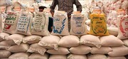 برنج ۲۰۰ درصد گران شد / مردم به جای برنج ماکارونی مصرف می‌کنند!