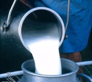 تصمیم جدید برای افزایش قیمت شیرخام